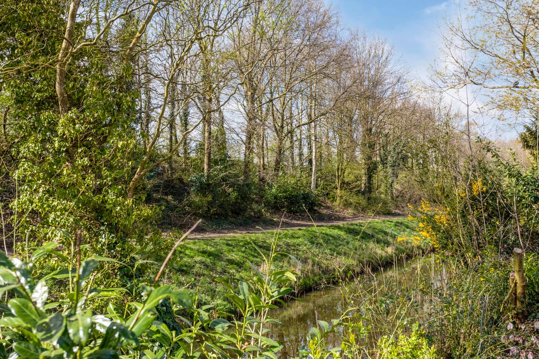 Foto 32 van Vlierlaan 220