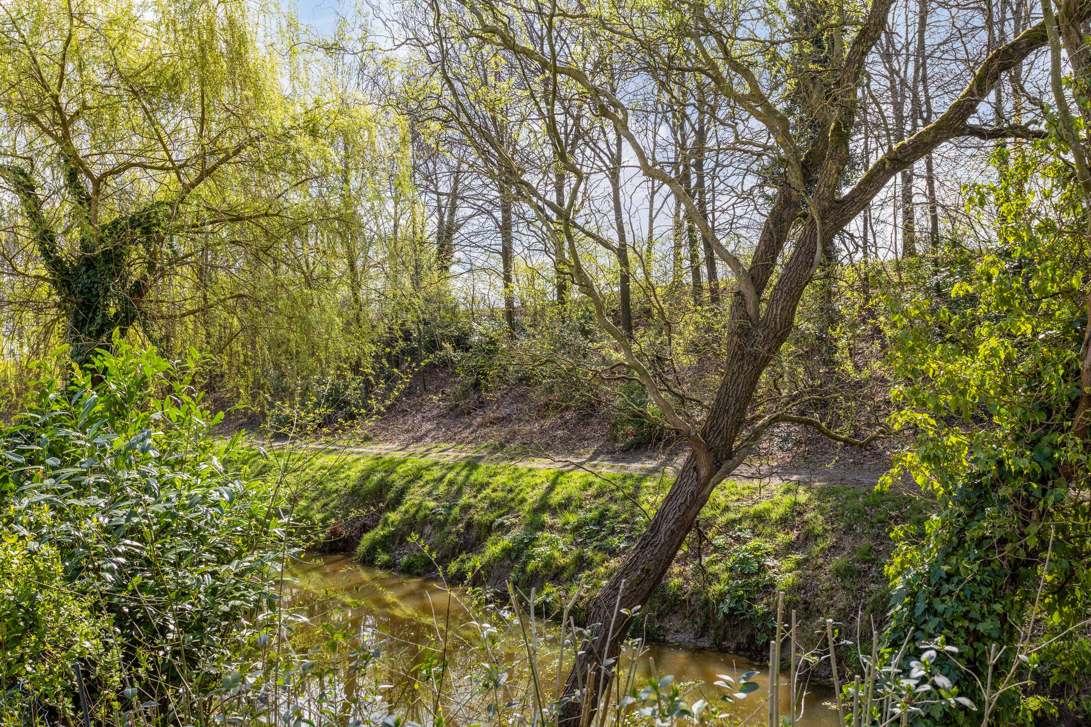 Foto 33 van Vlierlaan 220