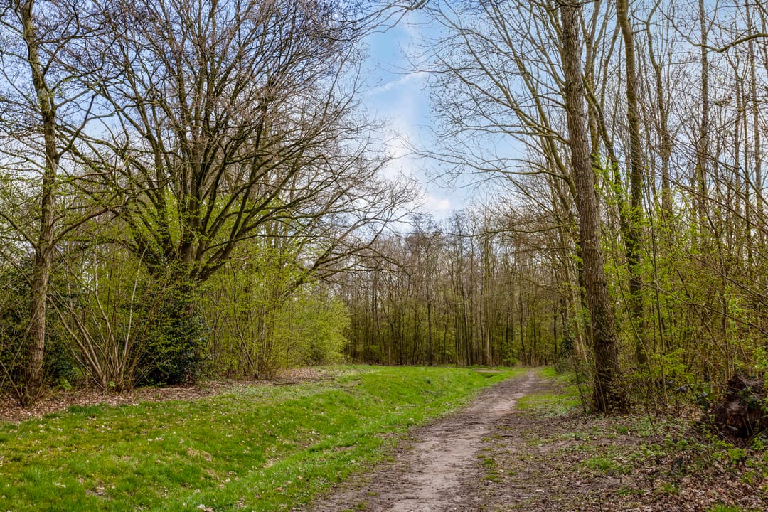 Foto 43 van Vlierlaan 220