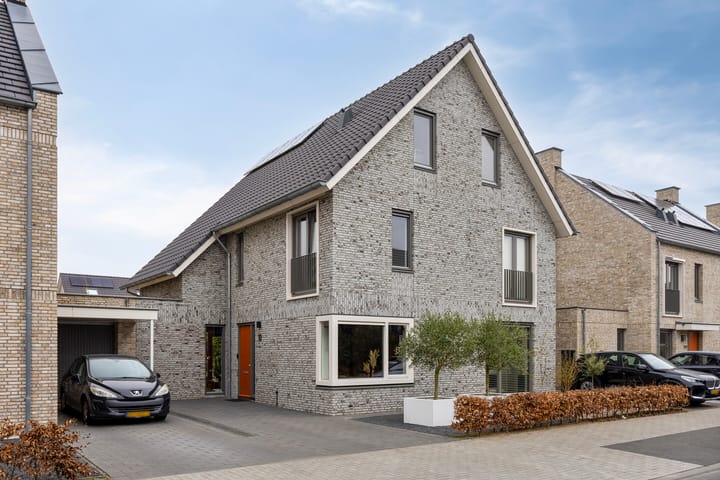 Foto 1 van Vuurlibel 10