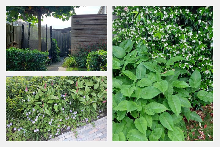 Foto 33 van Ameliapolder 82