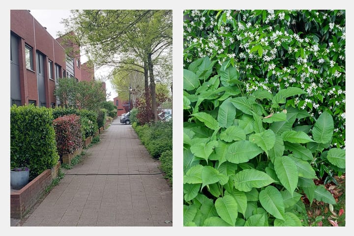 Foto 36 van Ameliapolder 82