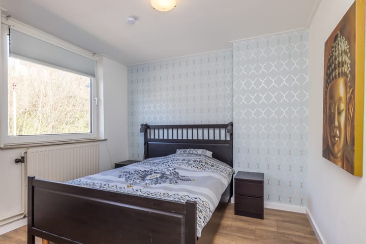 Photo 21 of Mesweg 38