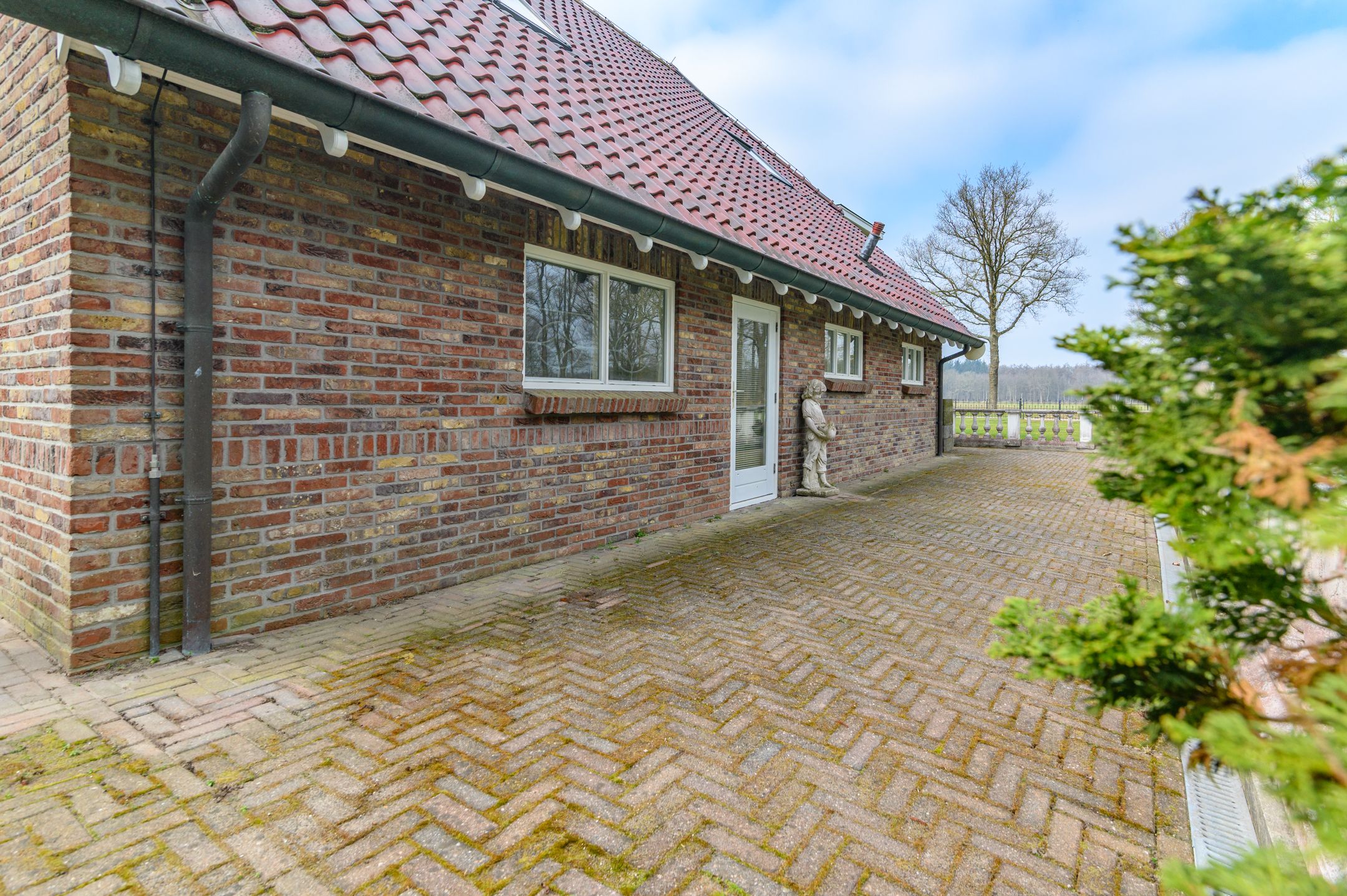 Foto 12 van Leidijk 10