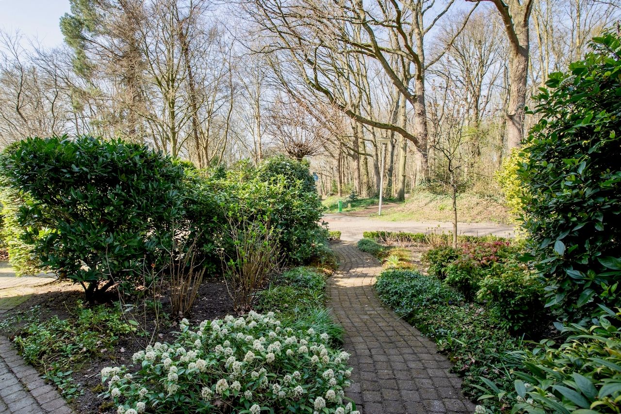 Foto 33 van Bloemendaal 32