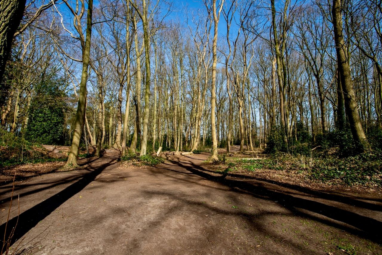 Foto 36 van Bloemendaal 32