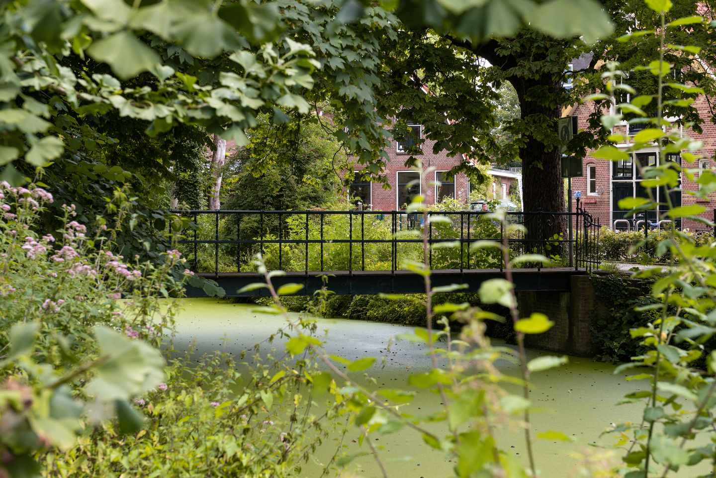 Foto 29 van Torckpark 6