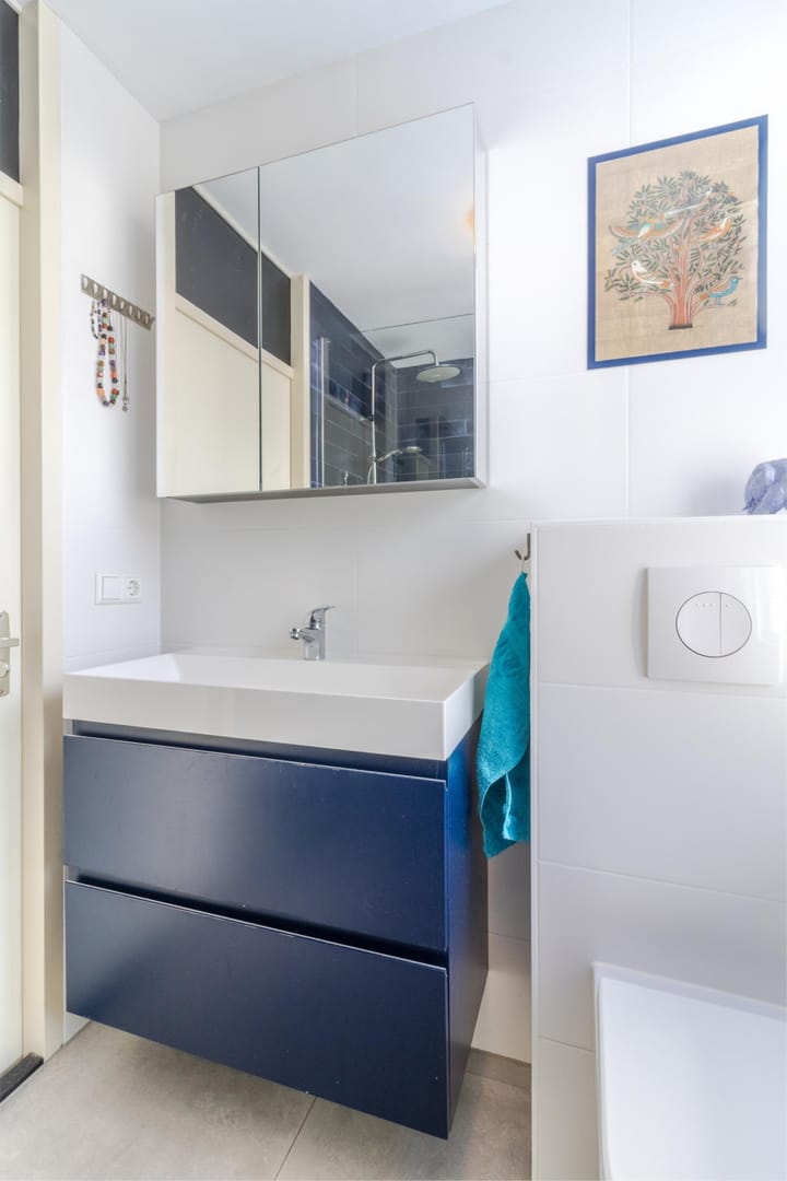 Foto 25 van Haya van Somerenstraat 9