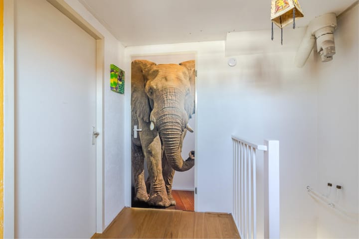 Foto 28 van Haya van Somerenstraat 9