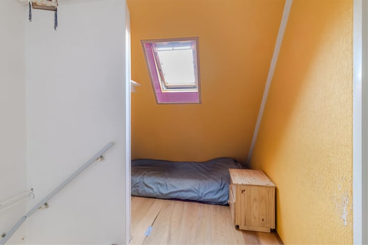 Foto 29 van Haya van Somerenstraat 9