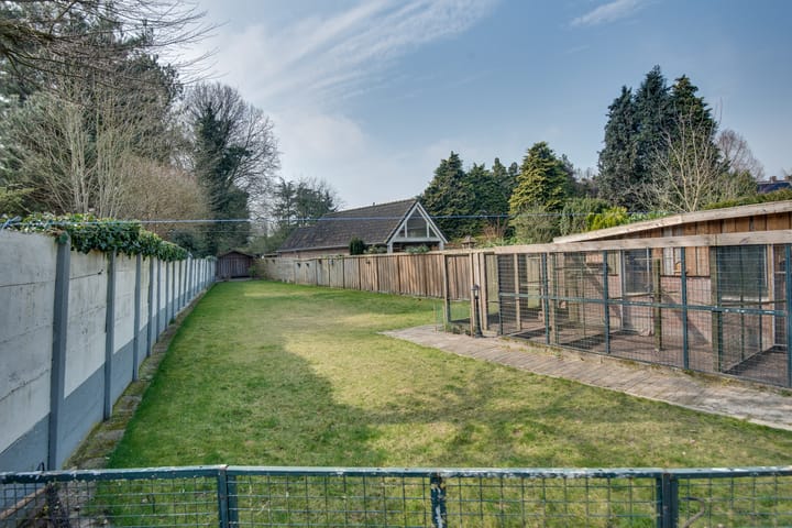 Foto 4 van Hoogstraat 9