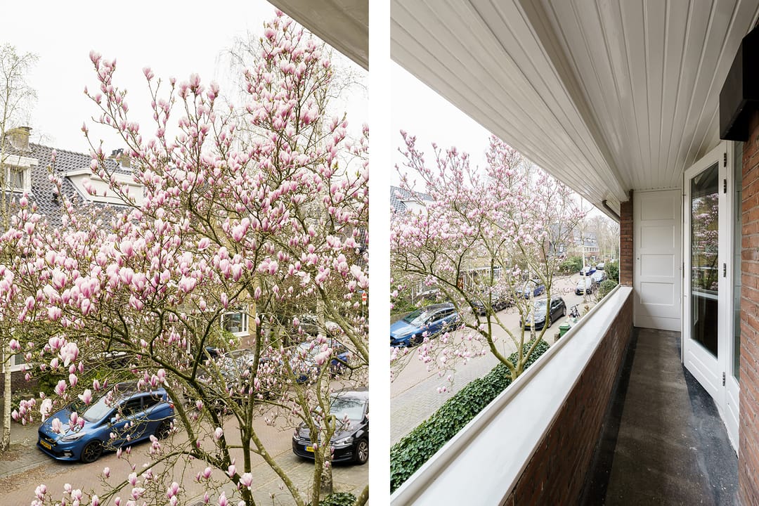 Foto 28 van Oosterhoutlaan 24