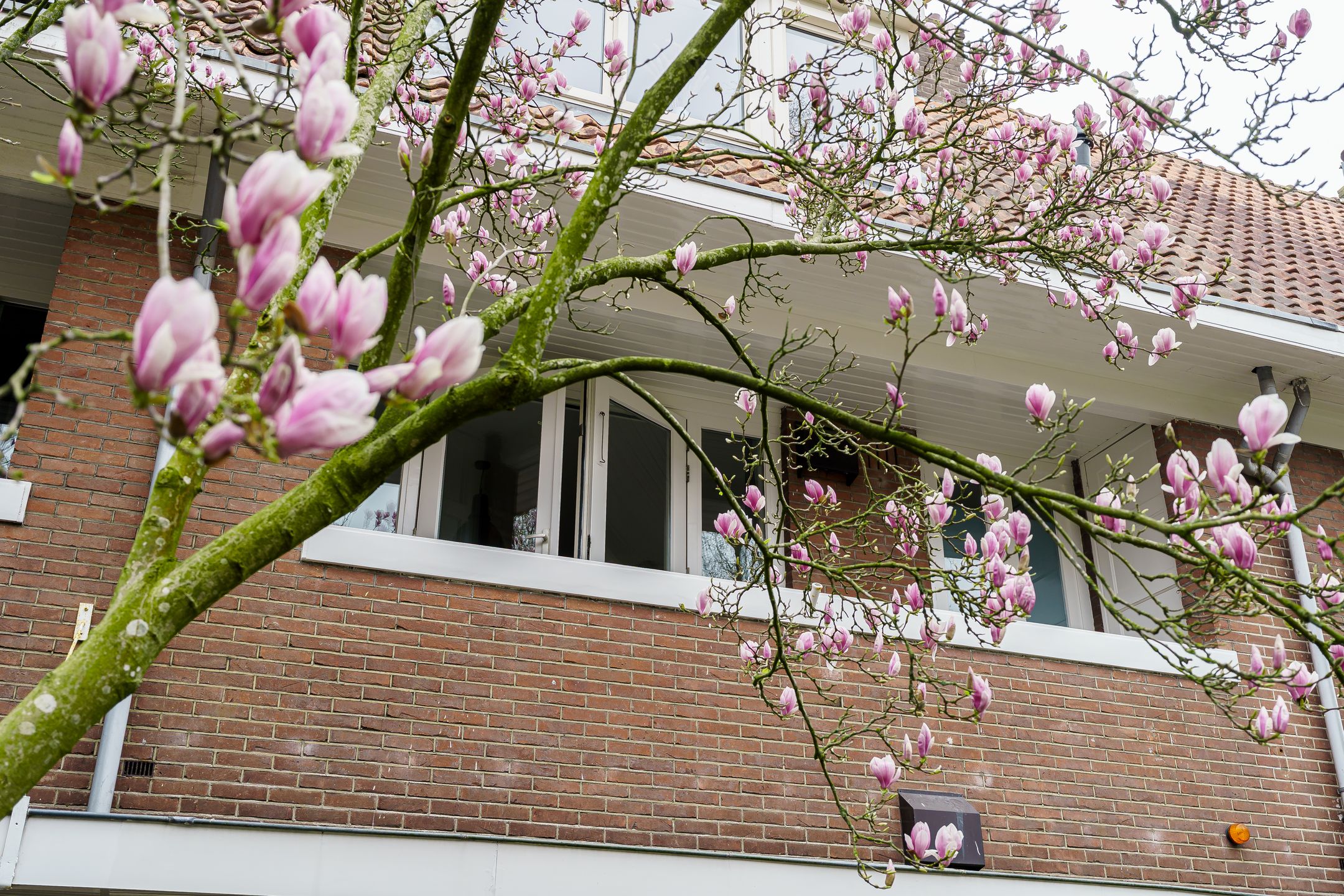 Foto 30 van Oosterhoutlaan 24