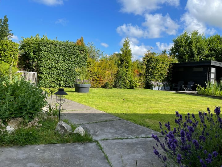 Photo 6 of Piet Rotlaan 10