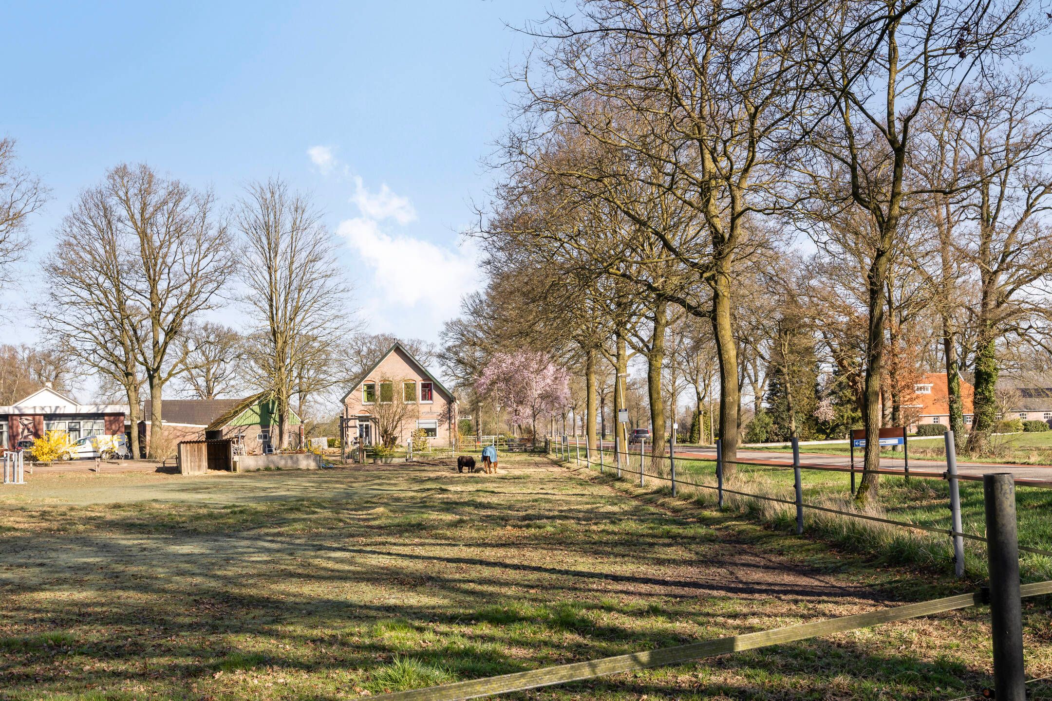 Foto 36 van Enterweg 9