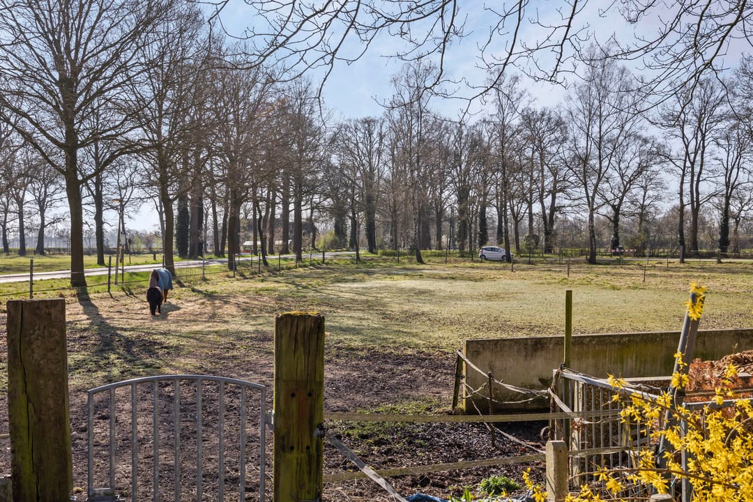 Foto 43 van Enterweg 9