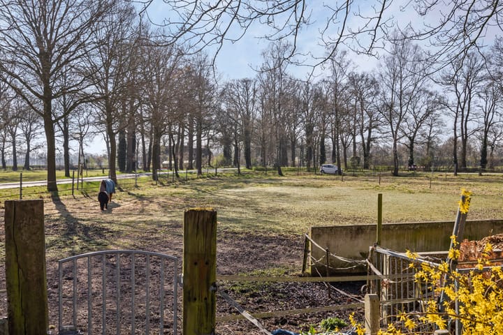 Foto 43 van Enterweg 9