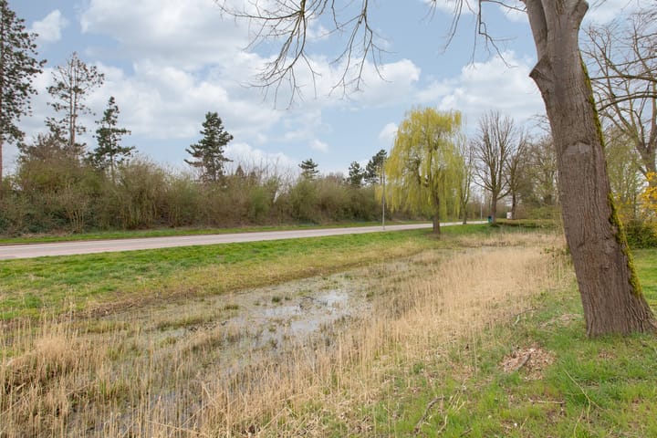 Foto 2 van Spechtstraat 24