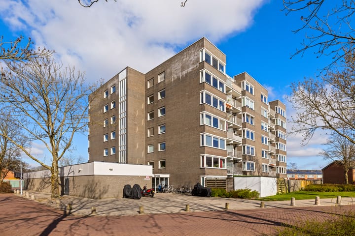 Bekijk foto van Graan voor Visch 16204