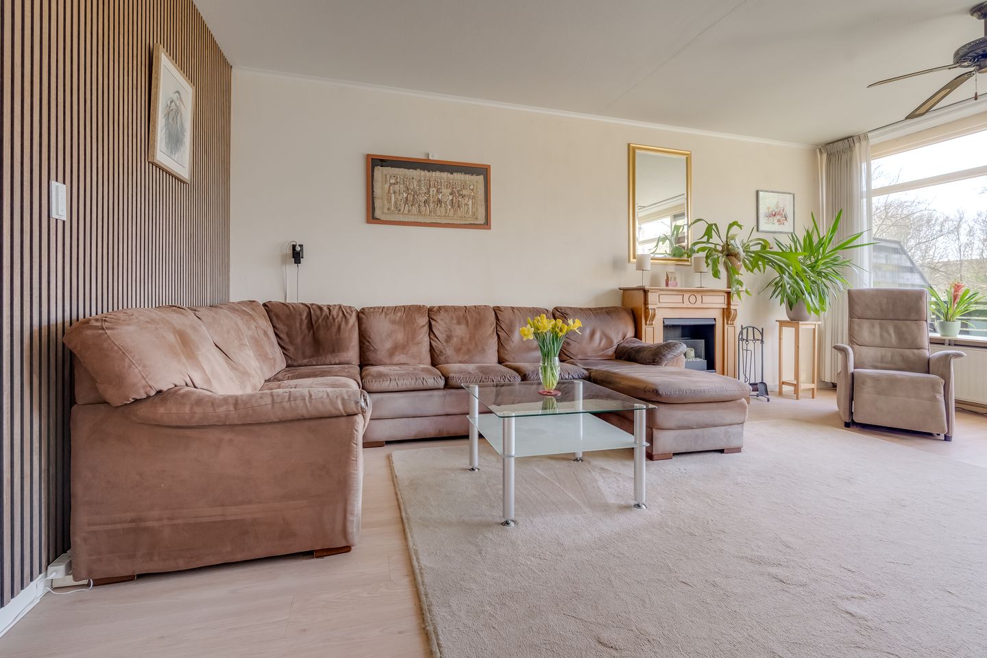 Foto 5 van Boomstede 486