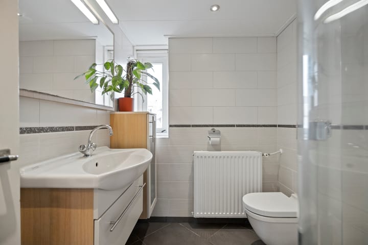 Foto 21 van Ooievaarstraat 149