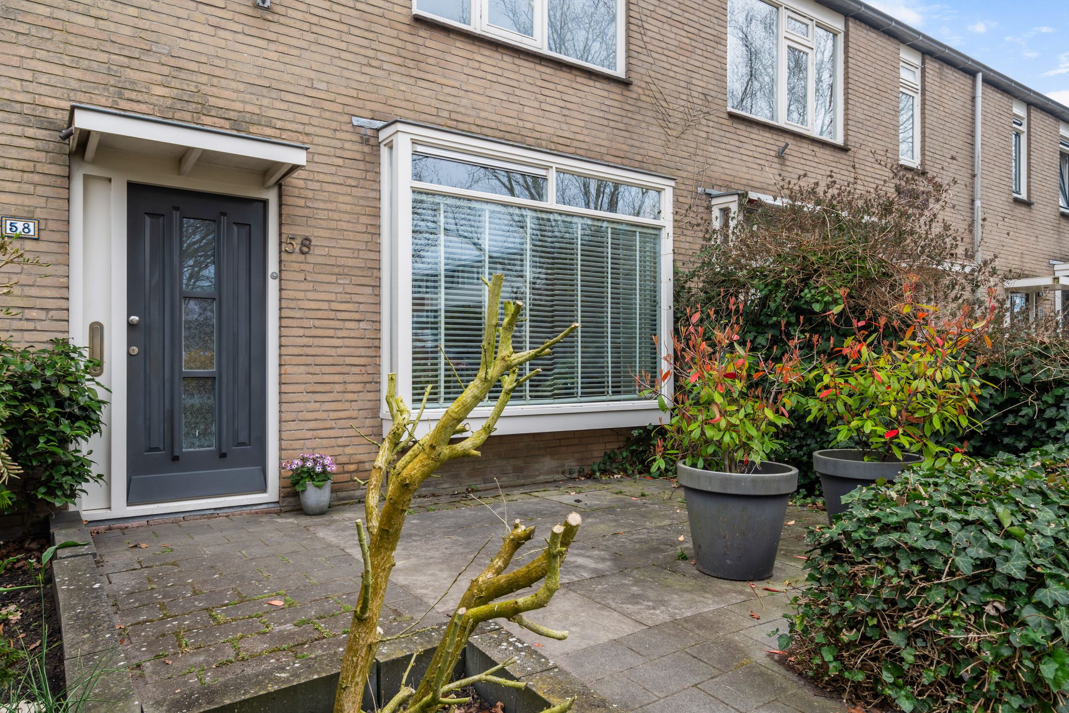 Foto 9 van Obrechthof 58