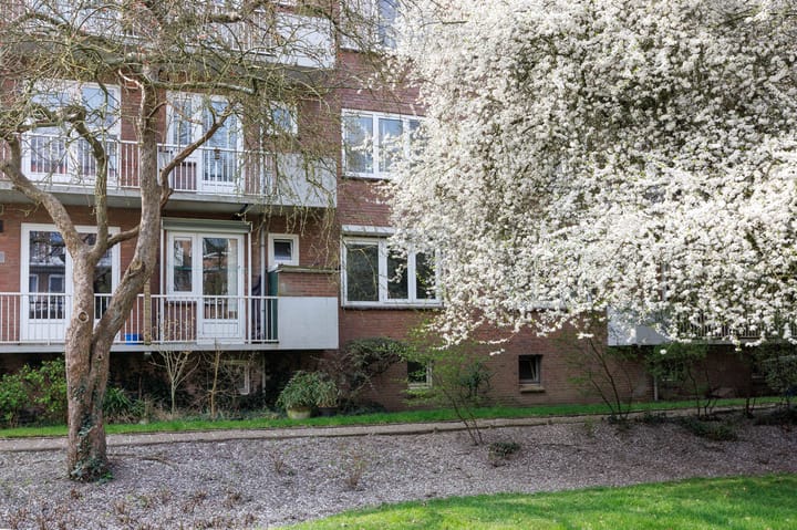 Foto 33 van Scholtenstraat 50