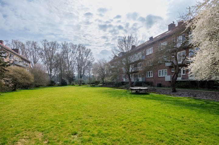 Foto 37 van Scholtenstraat 50