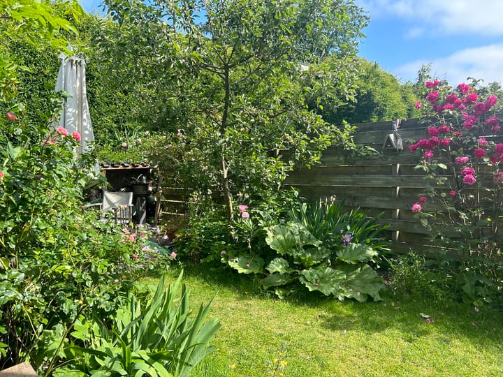 Foto 61 van St. Janskerkstraat 123