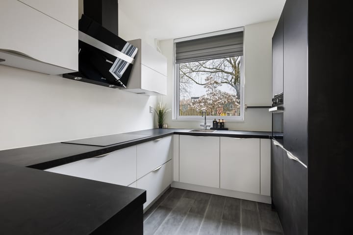 Foto 8 van Bronsmos 57