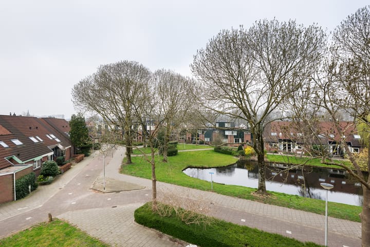 Foto 26 van Bronsmos 57