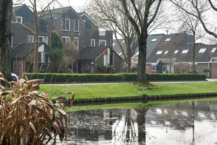 Foto 27 van Bronsmos 57