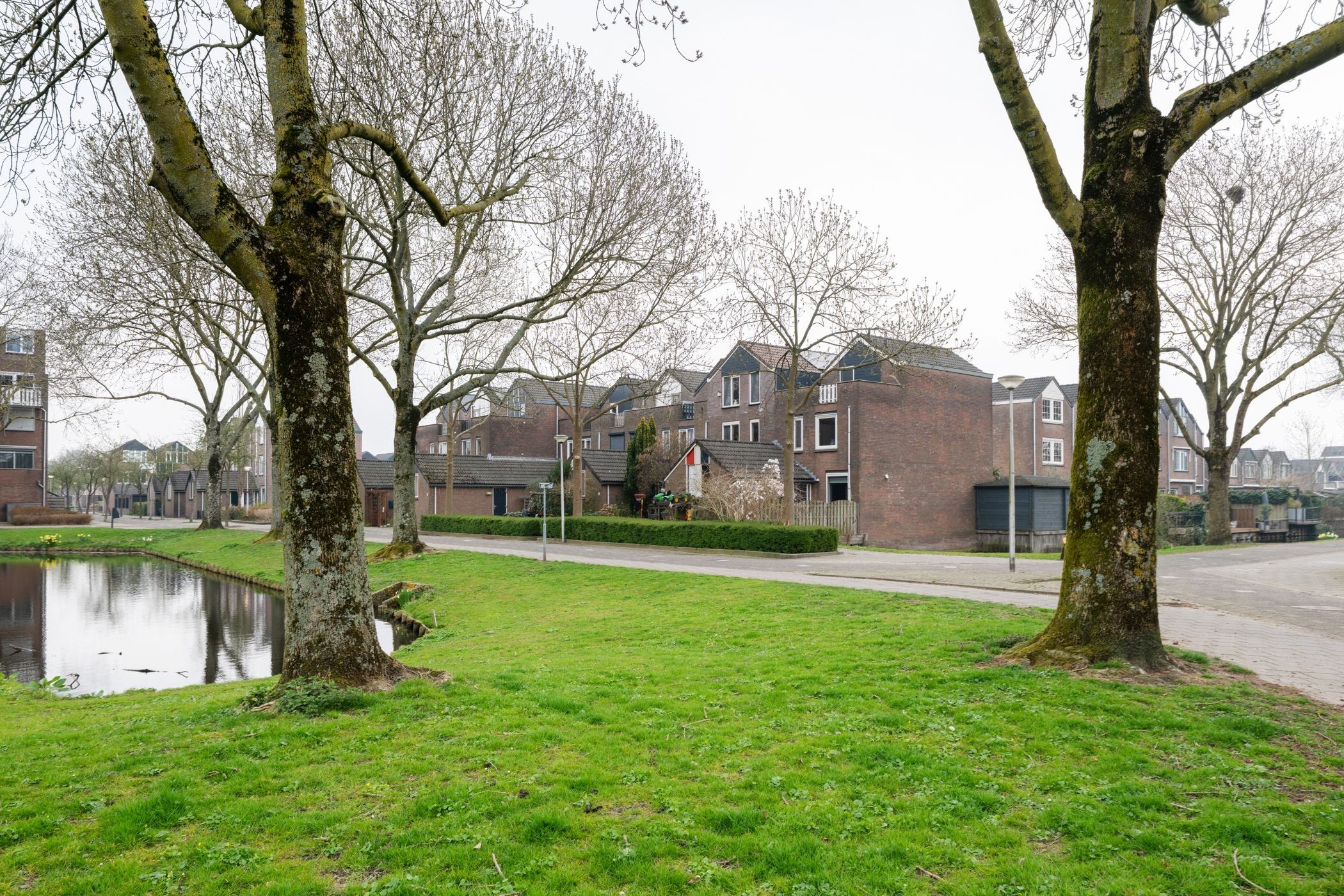 Foto 30 van Bronsmos 57