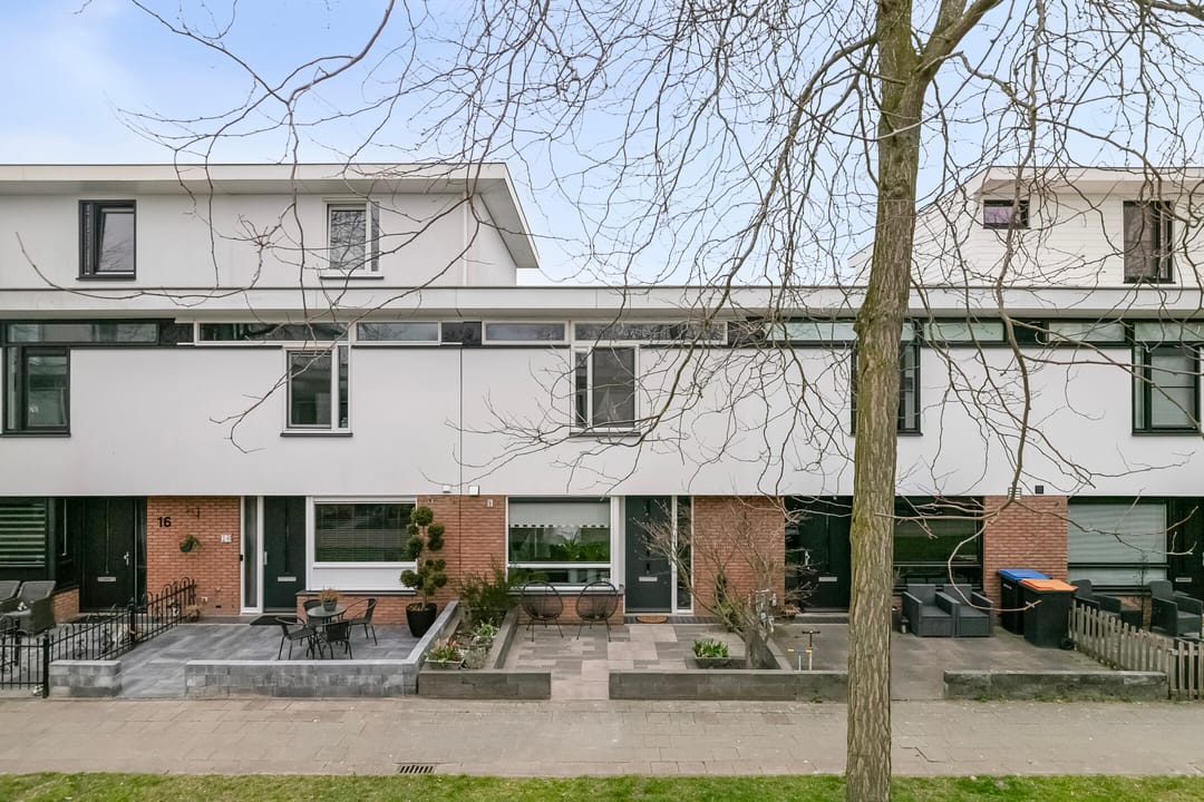 Foto 32 van Waterschorpioen 12