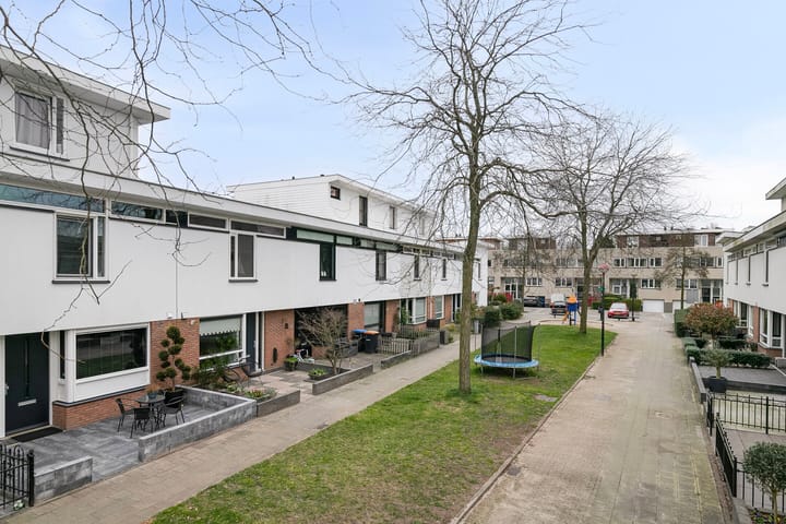 Foto 33 van Waterschorpioen 12