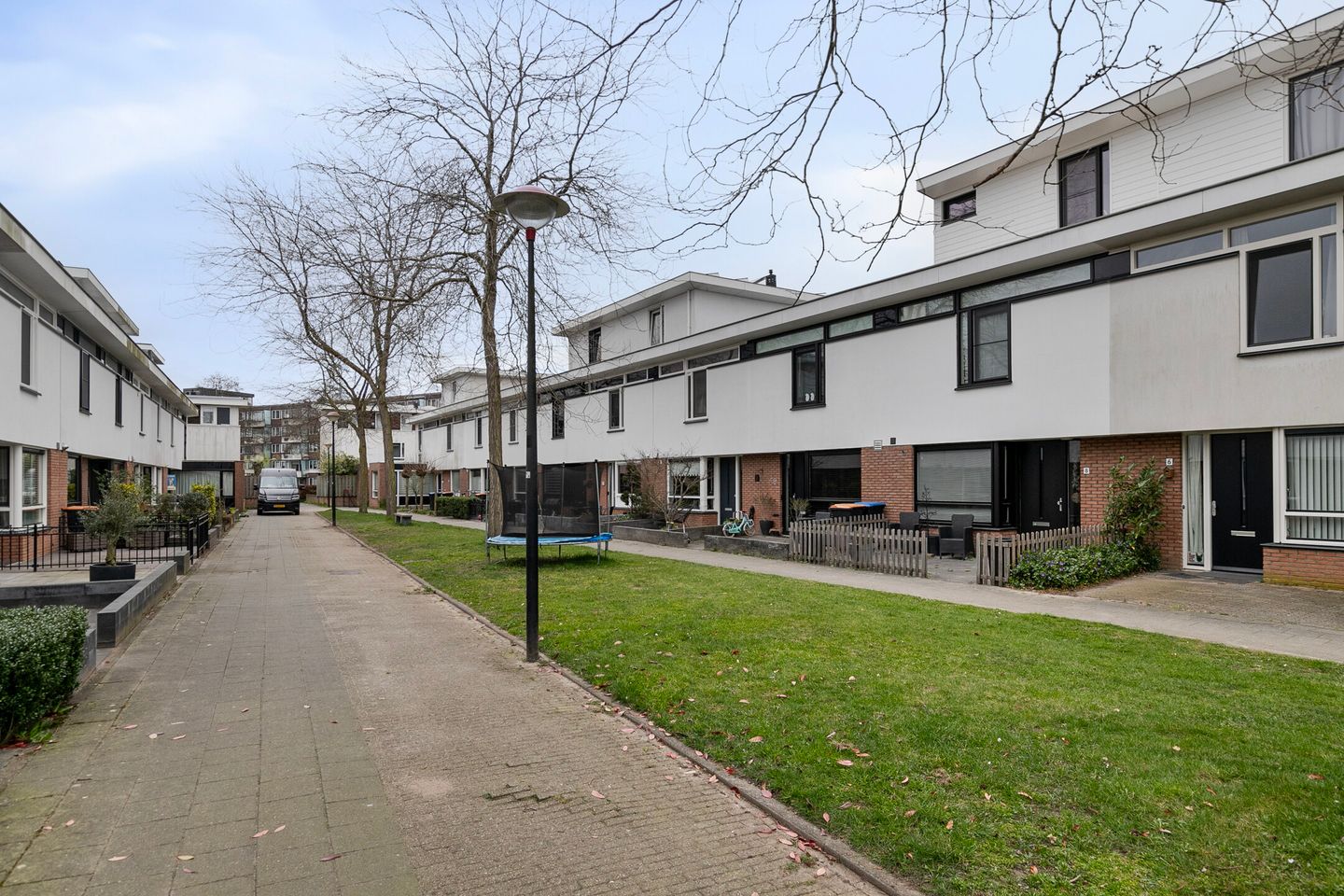 Foto 34 van Waterschorpioen 12