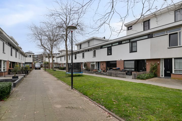 Foto 34 van Waterschorpioen 12