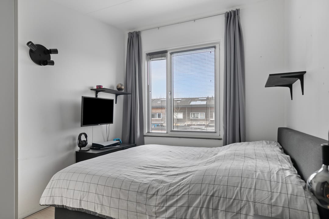 Foto 17 van Waterschorpioen 12