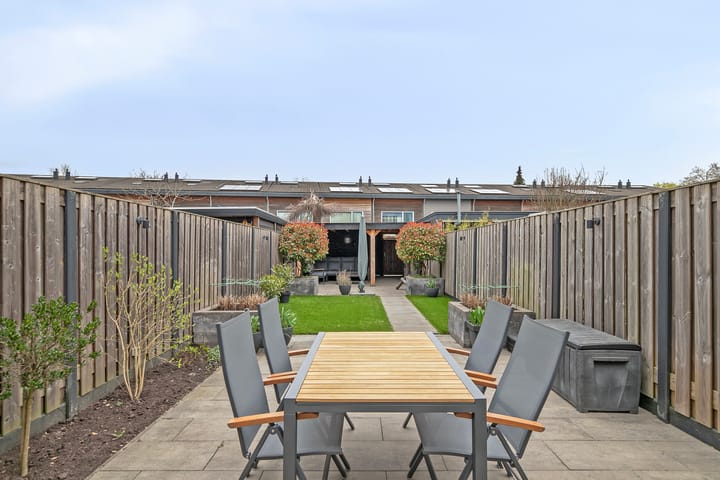 Foto 22 van Waterschorpioen 12