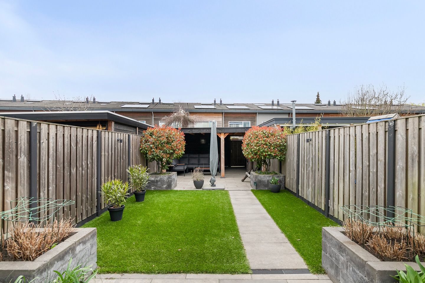 Foto 5 van Waterschorpioen 12