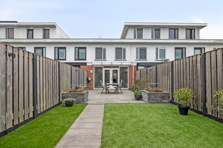 Foto 24 van Waterschorpioen 12