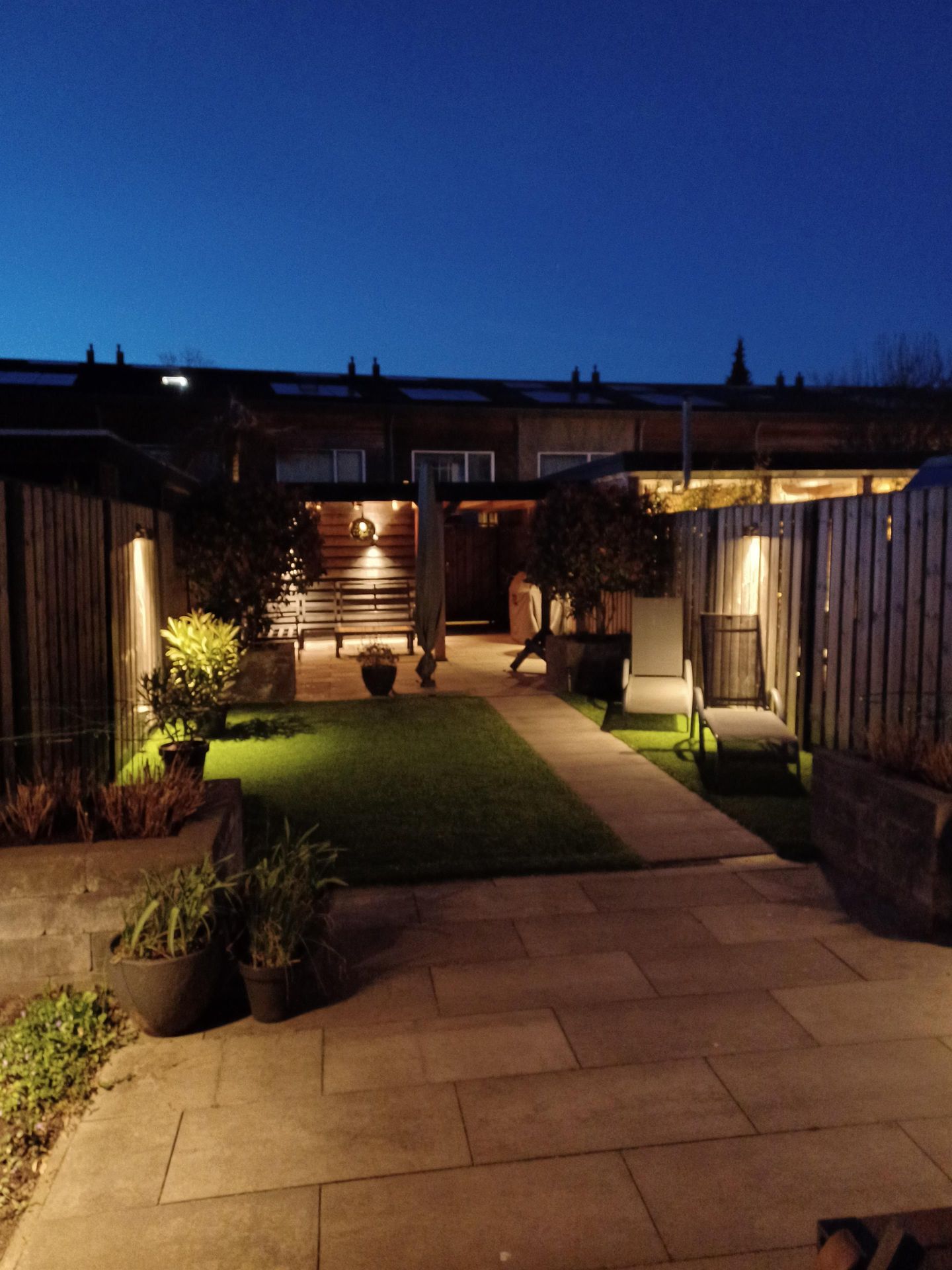 Foto 29 van Waterschorpioen 12