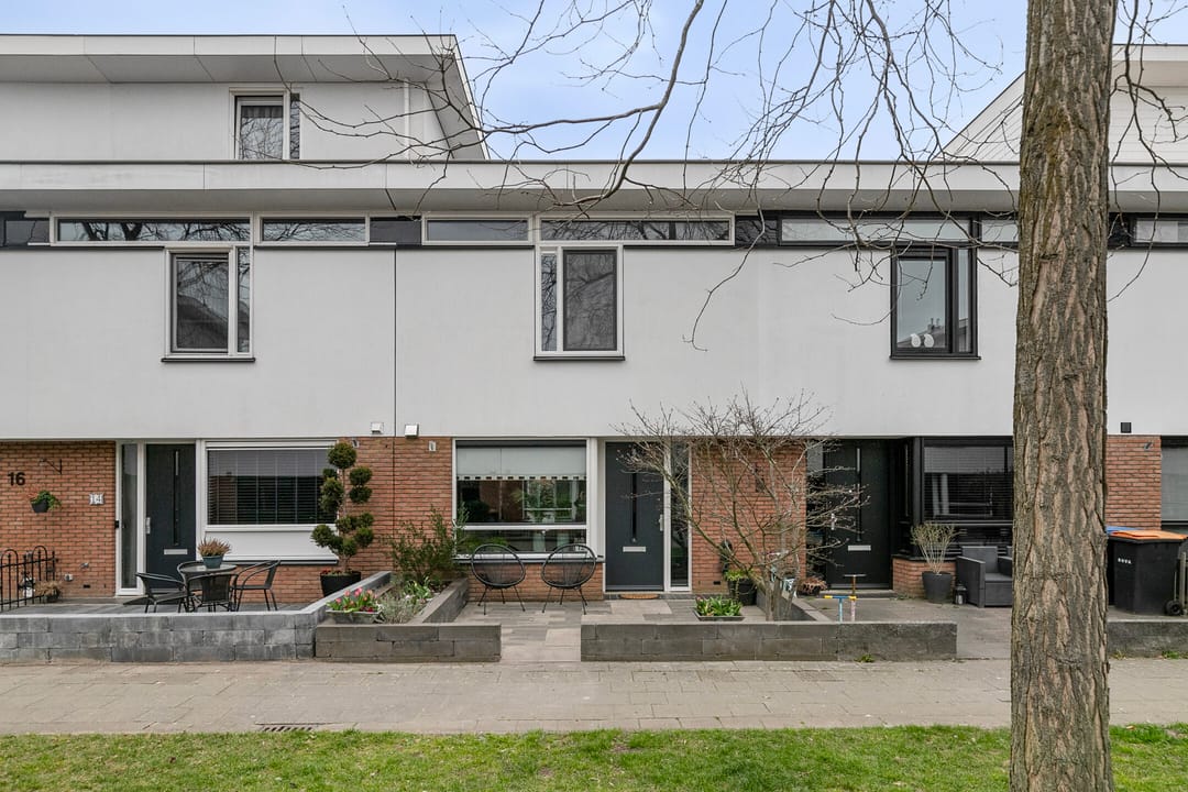 Foto 1 van Waterschorpioen 12