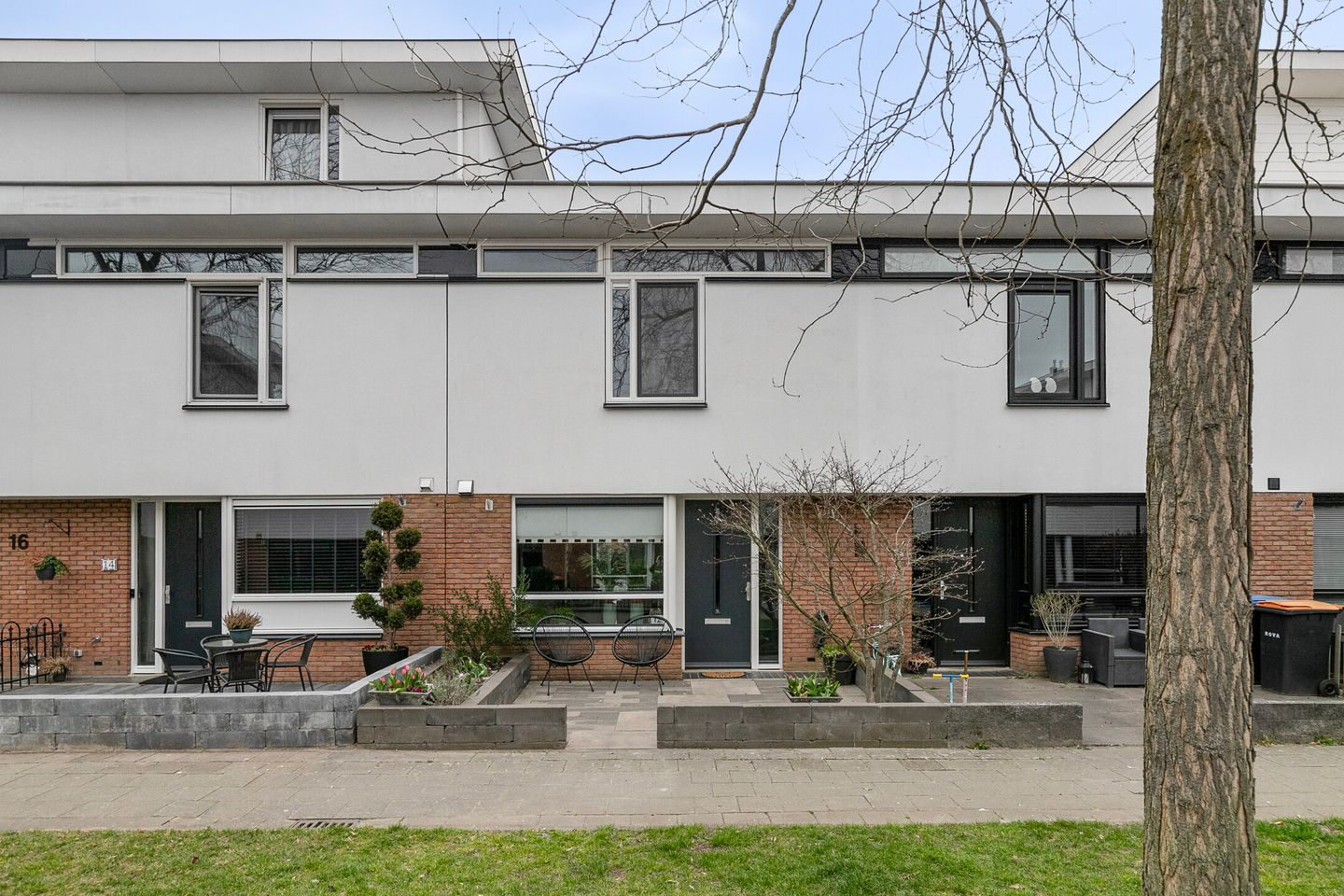 Foto 1 van Waterschorpioen 12