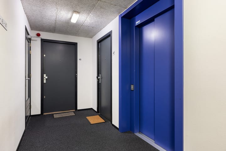 Photo 25 of Lage Boog 45