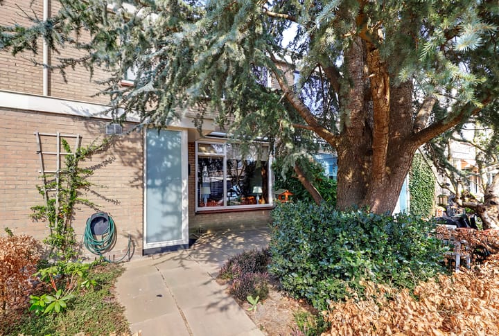 Foto 6 van Piet Moeskopsstraat 4