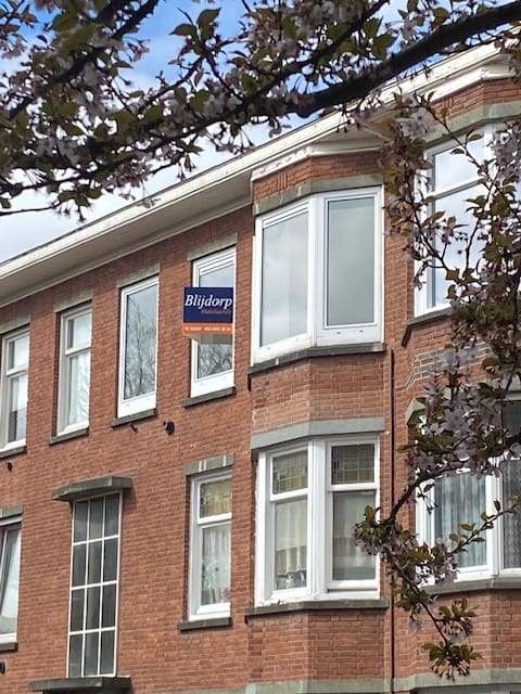 Foto 23 van Velpsestraat 165-A