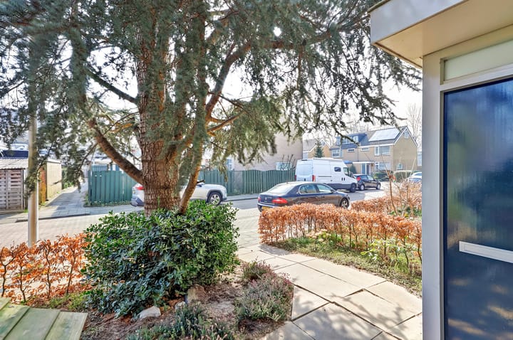 Foto 41 van Piet Moeskopsstraat 4