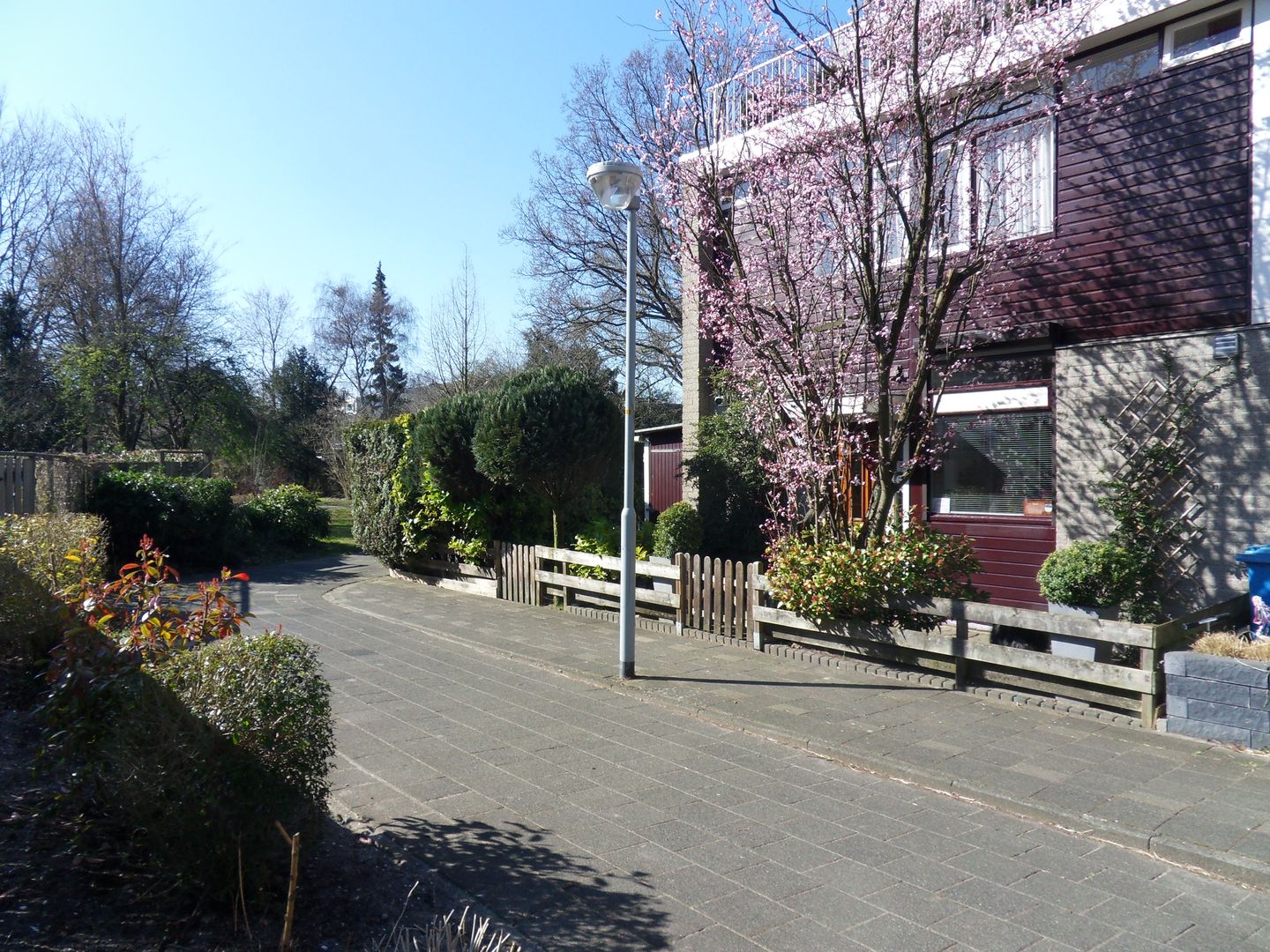 Foto 1 van Elzendreef 170