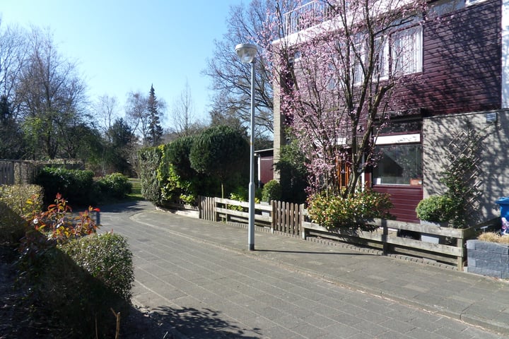 Bekijk foto van Elzendreef 170